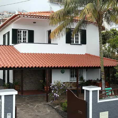 Tulip Tree * Funchal (Madeira)