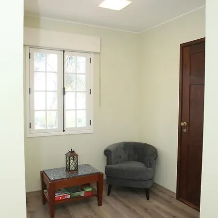 Tulip Tree Funchal (Madeira)