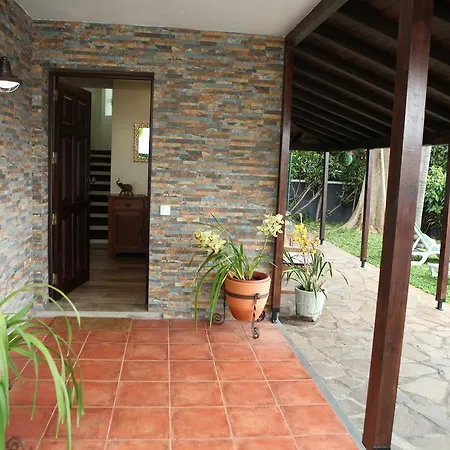 Tulip Tree Casa de Férias Funchal (Madeira)