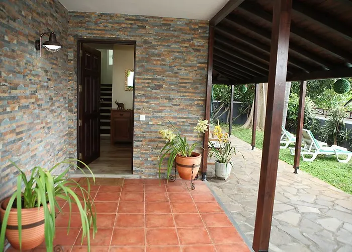 Tulip Tree 펜션 푼샬